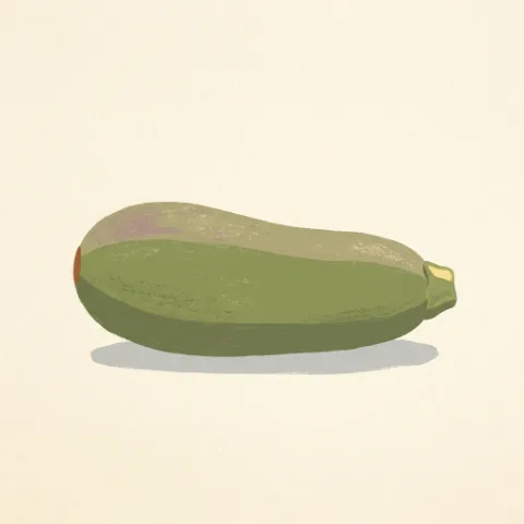Gouache av en squash