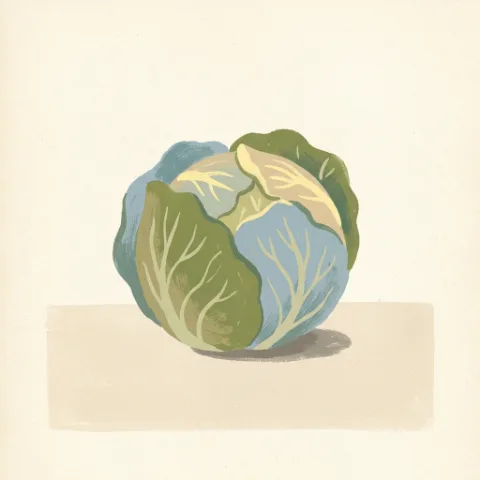 Gouache av et issalathode